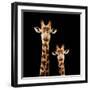 Safari Profile Collection - Portrait of Giraffe and Baby Black Edition-Philippe Hugonnard-Framed Photographic Print