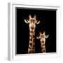 Safari Profile Collection - Portrait of Giraffe and Baby Black Edition-Philippe Hugonnard-Framed Photographic Print