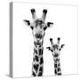 Safari Profile Collection - Portrait of Giraffe and Baby White Edition II-Philippe Hugonnard-Stretched Canvas