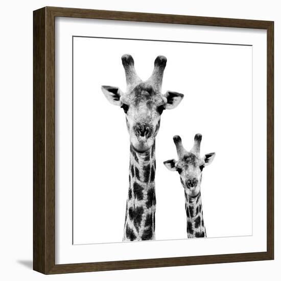 Safari Profile Collection - Portrait of Giraffe and Baby White Edition II-Philippe Hugonnard-Framed Photographic Print