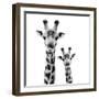 Safari Profile Collection - Portrait of Giraffe and Baby White Edition II-Philippe Hugonnard-Framed Photographic Print