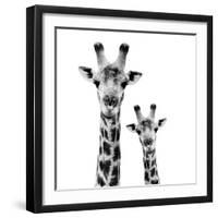 Safari Profile Collection - Portrait of Giraffe and Baby White Edition II-Philippe Hugonnard-Framed Photographic Print