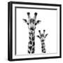 Safari Profile Collection - Portrait of Giraffe and Baby White Edition II-Philippe Hugonnard-Framed Photographic Print