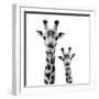 Safari Profile Collection - Portrait of Giraffe and Baby White Edition II-Philippe Hugonnard-Framed Photographic Print