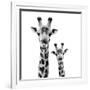 Safari Profile Collection - Portrait of Giraffe and Baby White Edition II-Philippe Hugonnard-Framed Photographic Print