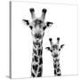 Safari Profile Collection - Portrait of Giraffe and Baby White Edition II-Philippe Hugonnard-Stretched Canvas