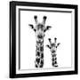 Safari Profile Collection - Portrait of Giraffe and Baby White Edition II-Philippe Hugonnard-Framed Giclee Print