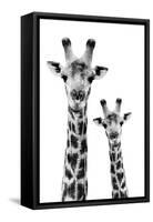 Safari Profile Collection - Portrait of Giraffe and Baby White Edition IV-Philippe Hugonnard-Framed Stretched Canvas