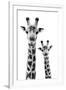 Safari Profile Collection - Portrait of Giraffe and Baby White Edition IV-Philippe Hugonnard-Framed Premium Photographic Print