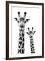 Safari Profile Collection - Portrait of Giraffe and Baby White Edition IV-Philippe Hugonnard-Framed Premium Photographic Print