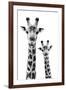 Safari Profile Collection - Portrait of Giraffe and Baby White Edition IV-Philippe Hugonnard-Framed Premium Photographic Print