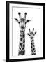 Safari Profile Collection - Portrait of Giraffe and Baby White Edition IV-Philippe Hugonnard-Framed Premium Photographic Print