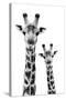 Safari Profile Collection - Portrait of Giraffe and Baby White Edition IV-Philippe Hugonnard-Stretched Canvas