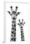 Safari Profile Collection - Portrait of Giraffe and Baby White Edition IV-Philippe Hugonnard-Framed Premium Photographic Print