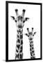 Safari Profile Collection - Portrait of Giraffe and Baby White Edition IV-Philippe Hugonnard-Framed Photographic Print