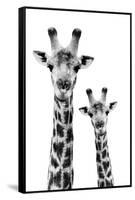 Safari Profile Collection - Portrait of Giraffe and Baby White Edition IV-Philippe Hugonnard-Framed Stretched Canvas