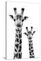 Safari Profile Collection - Portrait of Giraffe and Baby White Edition IV-Philippe Hugonnard-Stretched Canvas