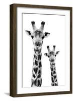 Safari Profile Collection - Portrait of Giraffe and Baby White Edition IV-Philippe Hugonnard-Framed Photographic Print