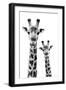 Safari Profile Collection - Portrait of Giraffe and Baby White Edition IV-Philippe Hugonnard-Framed Photographic Print