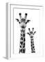 Safari Profile Collection - Portrait of Giraffe and Baby White Edition IV-Philippe Hugonnard-Framed Photographic Print