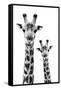 Safari Profile Collection - Portrait of Giraffe and Baby White Edition IV-Philippe Hugonnard-Framed Stretched Canvas