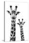 Safari Profile Collection - Portrait of Giraffe and Baby White Edition IV-Philippe Hugonnard-Stretched Canvas