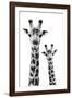 Safari Profile Collection - Portrait of Giraffe and Baby White Edition IV-Philippe Hugonnard-Framed Photographic Print