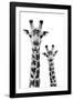 Safari Profile Collection - Portrait of Giraffe and Baby White Edition IV-Philippe Hugonnard-Framed Photographic Print