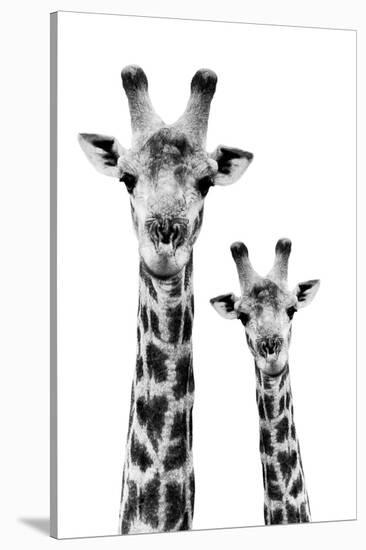 Safari Profile Collection - Portrait of Giraffe and Baby White Edition IV-Philippe Hugonnard-Stretched Canvas