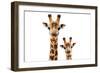 Safari Profile Collection - Portrait of Giraffe and Baby White Edition V-Philippe Hugonnard-Framed Photographic Print