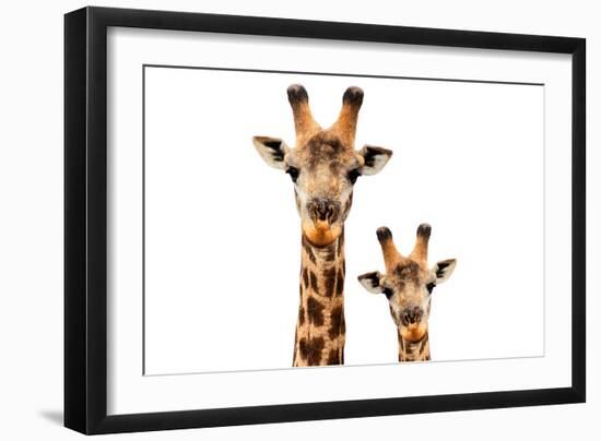 Safari Profile Collection - Portrait of Giraffe and Baby White Edition V-Philippe Hugonnard-Framed Photographic Print