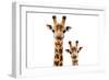 Safari Profile Collection - Portrait of Giraffe and Baby White Edition V-Philippe Hugonnard-Framed Photographic Print