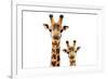 Safari Profile Collection - Portrait of Giraffe and Baby White Edition V-Philippe Hugonnard-Framed Photographic Print