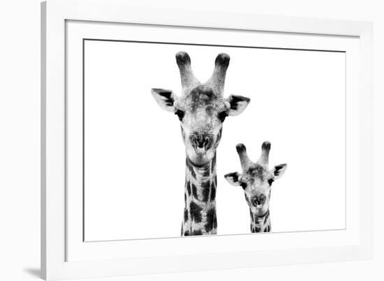 Safari Profile Collection - Portrait of Giraffe and Baby White Edition VI-Philippe Hugonnard-Framed Photographic Print