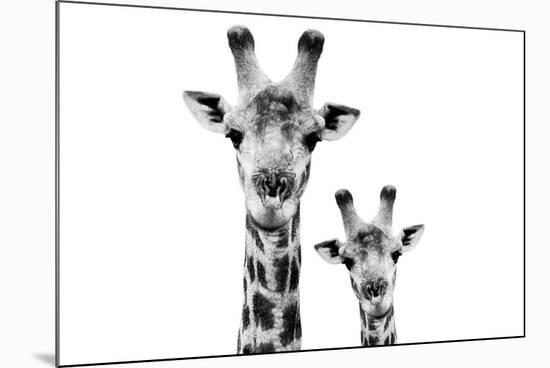 Safari Profile Collection - Portrait of Giraffe and Baby White Edition VI-Philippe Hugonnard-Mounted Photographic Print