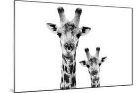 Safari Profile Collection - Portrait of Giraffe and Baby White Edition VI-Philippe Hugonnard-Mounted Photographic Print