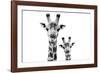 Safari Profile Collection - Portrait of Giraffe and Baby White Edition VI-Philippe Hugonnard-Framed Photographic Print