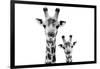 Safari Profile Collection - Portrait of Giraffe and Baby White Edition VI-Philippe Hugonnard-Framed Photographic Print