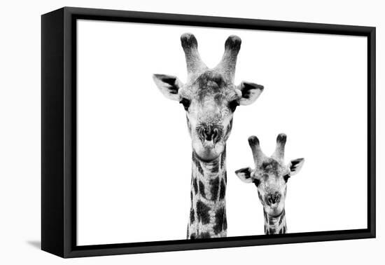 Safari Profile Collection - Portrait of Giraffe and Baby White Edition VI-Philippe Hugonnard-Framed Stretched Canvas