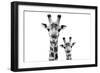 Safari Profile Collection - Portrait of Giraffe and Baby White Edition VI-Philippe Hugonnard-Framed Photographic Print