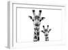 Safari Profile Collection - Portrait of Giraffe and Baby White Edition VI-Philippe Hugonnard-Framed Photographic Print