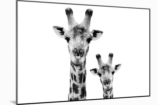 Safari Profile Collection - Portrait of Giraffe and Baby White Edition VI-Philippe Hugonnard-Mounted Photographic Print