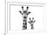 Safari Profile Collection - Portrait of Giraffe and Baby White Edition VI-Philippe Hugonnard-Framed Photographic Print