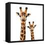 Safari Profile Collection - Portrait of Giraffe and Baby White Edition-Philippe Hugonnard-Framed Stretched Canvas