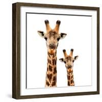 Safari Profile Collection - Portrait of Giraffe and Baby White Edition-Philippe Hugonnard-Framed Photographic Print