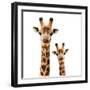 Safari Profile Collection - Portrait of Giraffe and Baby White Edition-Philippe Hugonnard-Framed Photographic Print