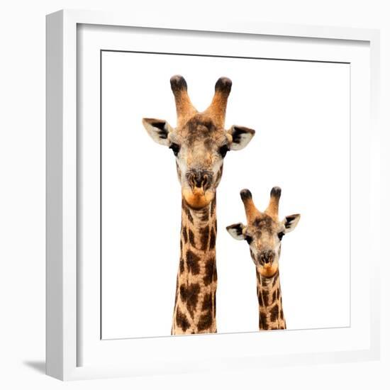 Safari Profile Collection - Portrait of Giraffe and Baby White Edition-Philippe Hugonnard-Framed Photographic Print