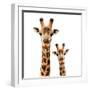 Safari Profile Collection - Portrait of Giraffe and Baby White Edition-Philippe Hugonnard-Framed Photographic Print