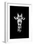 Safari Profile Collection - Portrait of Giraffe Black Edition II-Philippe Hugonnard-Framed Photographic Print