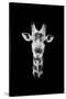 Safari Profile Collection - Portrait of Giraffe Black Edition II-Philippe Hugonnard-Stretched Canvas